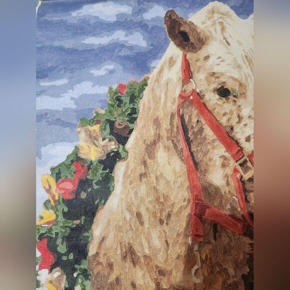 PBN Horse 16"×20" ( 40.6cm×50.8") Unframed Paint By Number Picture - Picture 4 of 5